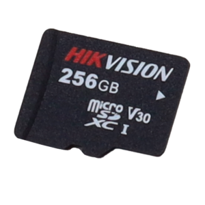 HS-TF-P1STD_256G