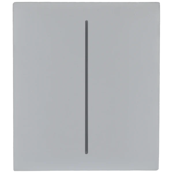 [CENTERBUTTON-2G-FOG] Panel de interruptor central doble