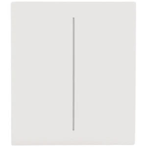 [CENTERBUTTON-2G-W] Panel de interruptor central doble