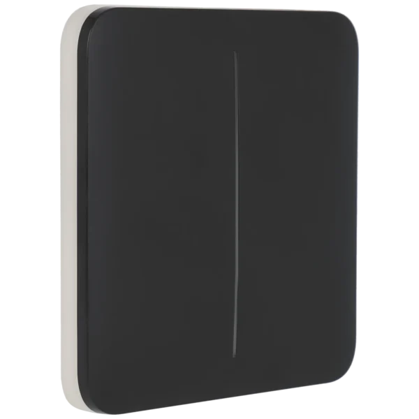 [SOLOBUTTON-2G-GRA] Panel de interruptor doble