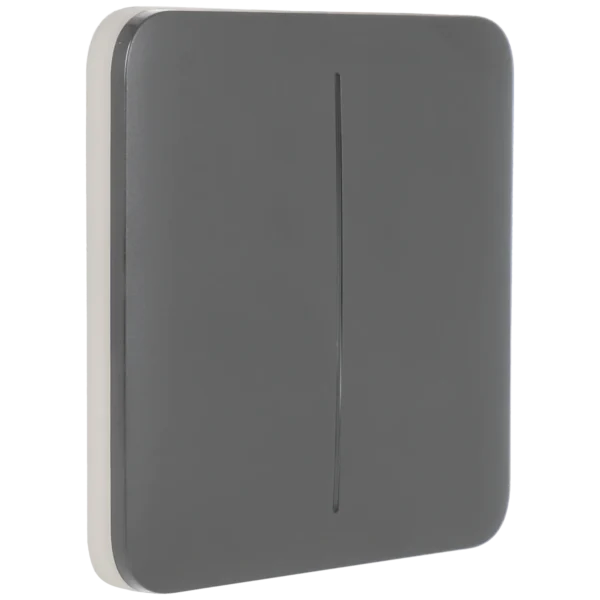 [SOLOBUTTON-2G-GRE] Panel de interruptor doble